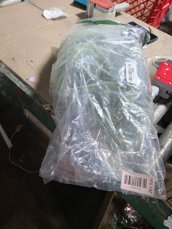 Photo 1 of 2 Pack 24”Artificial Topiary Ball Tree with Spike Soft Cypress Realistic Faux Cedar Pines Christmas Trees UV Rated Fake Shrubs for Christmas Pot Fillers Front Door Porch Indoor Outdoor Xmas Decor