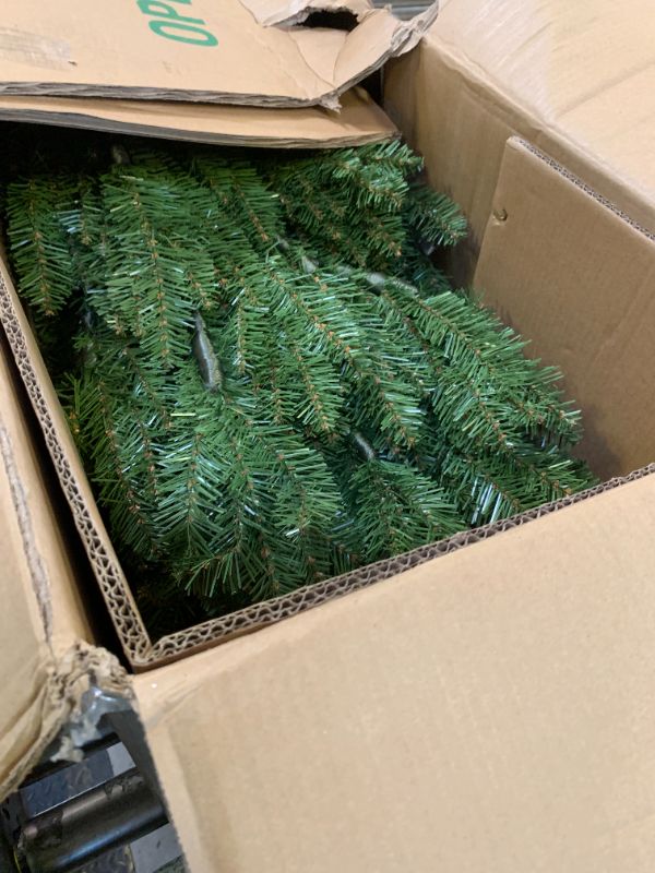 Photo 1 of National Tree Company 12 ft Unlit Dunhill Fir Artificial Full Christmas Tree, 7,794 Tips, Includes Stand, Green