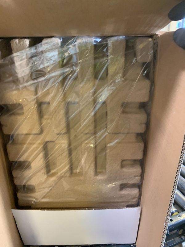 Photo 1 of BISSELL® Big Green® Professional Carpet Cleaner with XL DirtLifter PowerBrush, 9-inch Long Reach Hose, 6-inch Tough Stain Tool, Includes BISSELL PRO MAX Formula with Stain Protect Technology