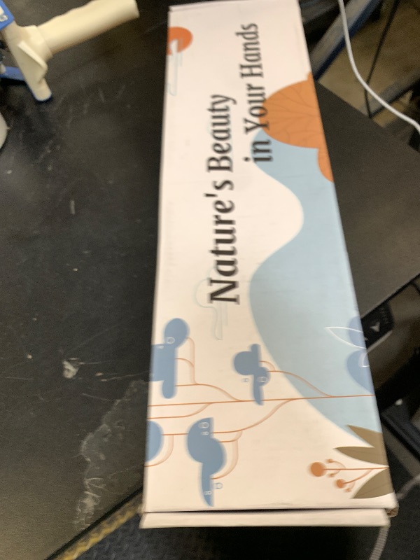 Photo 1 of 10 Pieces Dried White Italian Ruscus Eucalyptus - Real Preserved Ruscus Stem Branches, Real White Dried Floral Plant Pampas Green Leaves Bundle for Boho Wedding Party, Home Decor, Vase Filler