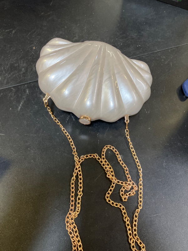 Photo 1 of SEASHELL BAG 