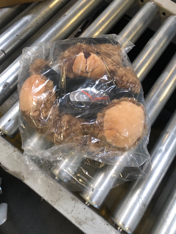Photo 1 of Graduation Plush Bear Brown