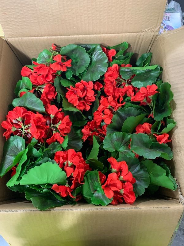Photo 1 of Red flower wreath