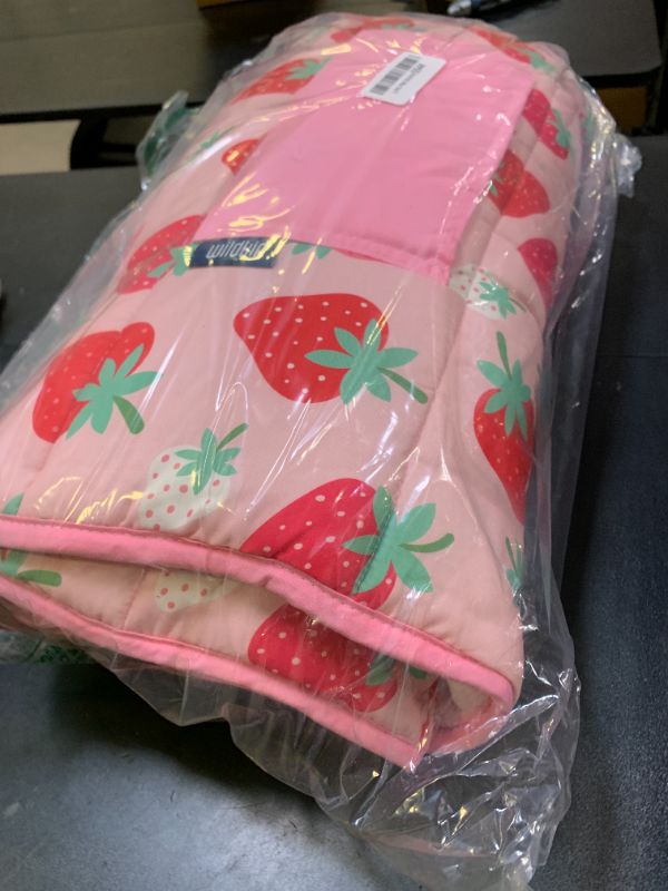 Photo 1 of Wildkin 43-inch Kids Nap Mat – Soft Microfiber Toddler Sleeping Mat with Pillow - Strawberry Patch