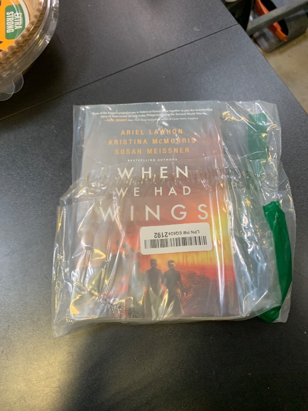 Photo 1 of When We Had Wings: A Novel