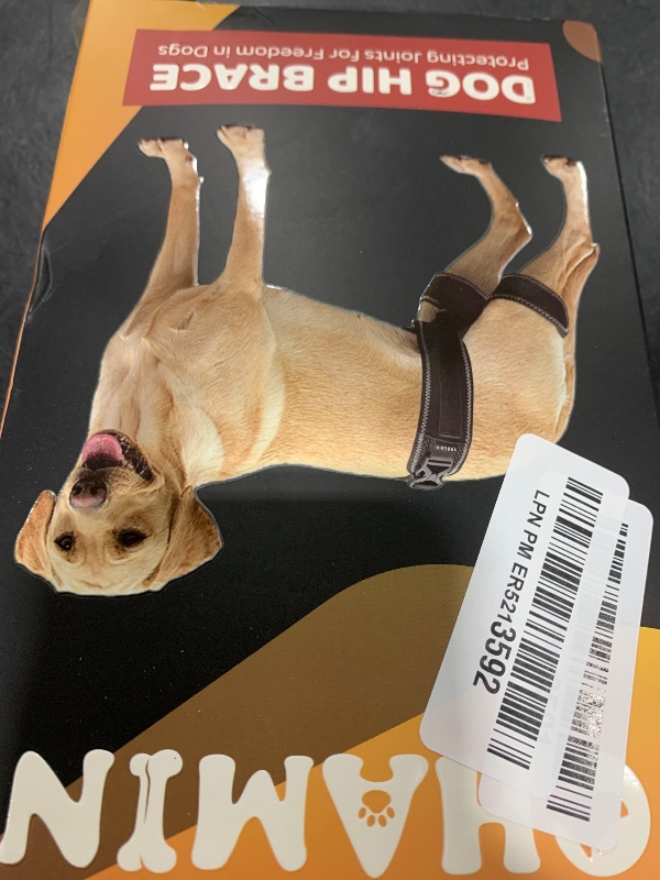 Photo 1 of CHAMIN Dog Hip Brace – Support Harness for Hip Dysplasia, Joint Pain Relief, Prevents Hip Joint Issues, Orthopedic Support for Dogs(Small)
