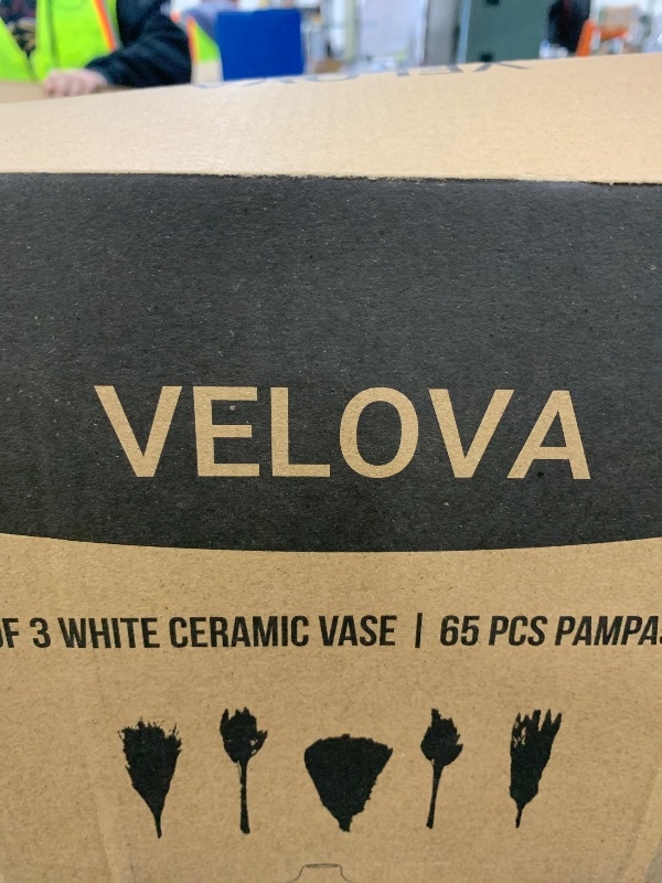 Photo 1 of LPNPMEY3324106
velova set oof 3 white ceramic vase 
65 psc pampas grass