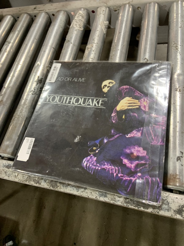 Photo 1 of Youthquake Vinyl