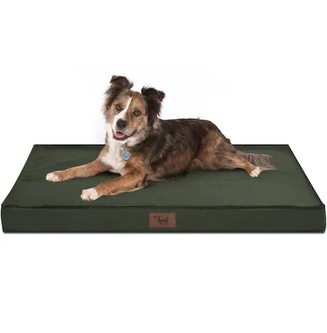 Photo 1 of Tail Stories Outdoor All Weather Large Dog Bed