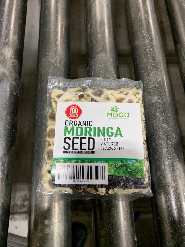 Photo 1 of 100+ Organic Moringa Seeds | Moringa Seeds for Planting Leaves, Powder, Pods & Flowers | Non-GMO Semillas de Moringa Seeds.