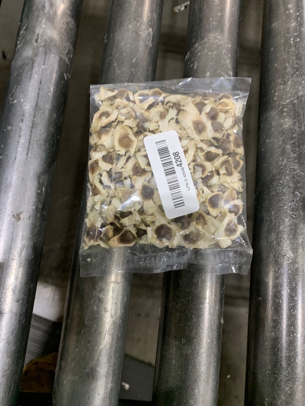 Photo 1 of 100+ Organic Moringa Seeds | Moringa Seeds for Planting Leaves, Powder, Pods & Flowers | Non-GMO Semillas de Moringa Seeds.