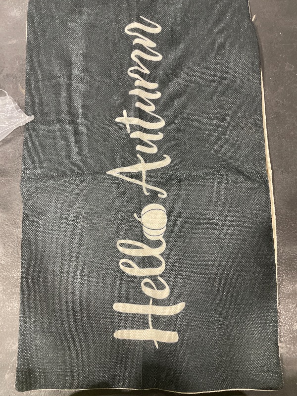 Photo 1 of hello autumn pillow