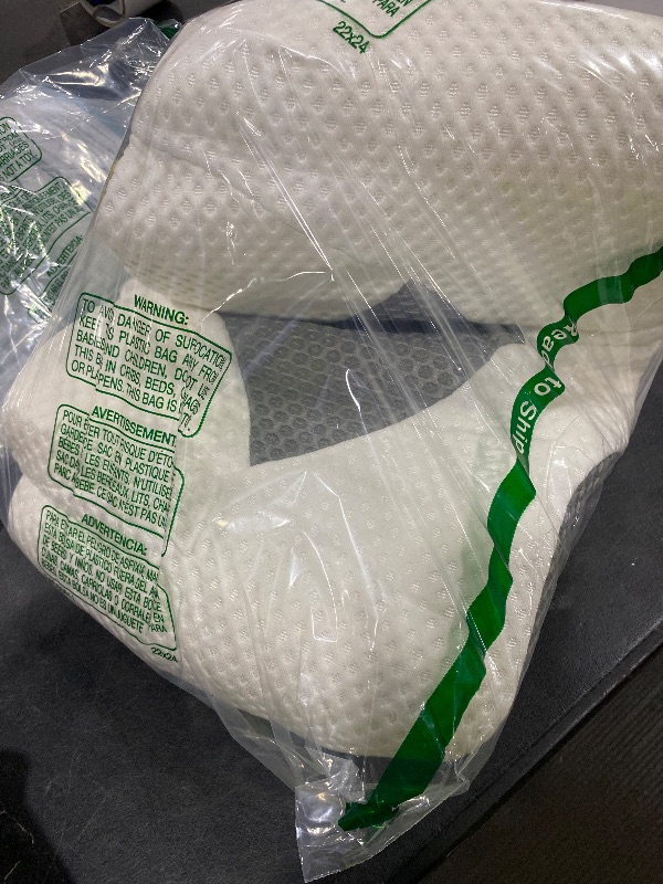 Photo 1 of PILLOW
