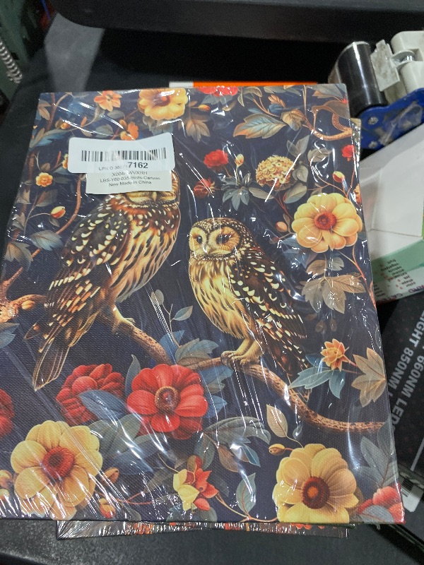 Photo 1 of Owls Flowers Vintage Canvas Wall Art Floral Botanical Owl Print Artwork Aesthetic Painting Picture for Home Farmhouse Living Room Bedroom Wall Decor 8x10 Inch