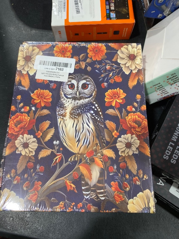 Photo 1 of Vintage Floral Owl Canvas Wall Art Owl Flowers Print Picture Aesthetic Painting for Home Farmhouse Living Room Bedroom Wall Decor 8x10 Inch
