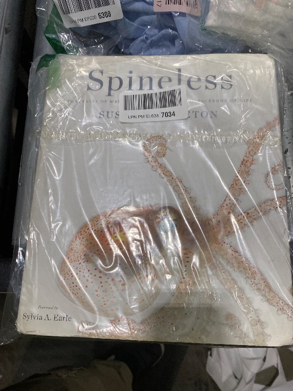 Photo 1 of spineless