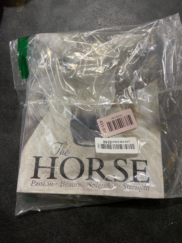 Photo 1 of The Horse Book: Passion, Beauty, Splendor, Strength - Filled with Facts & Photos for Equine Lovers of All Ages!