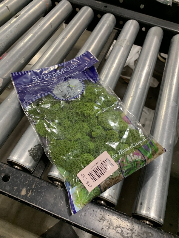 Photo 1 of SuperMoss (23080) Reindeer Moss Preserved, Basil, 2 Ounces