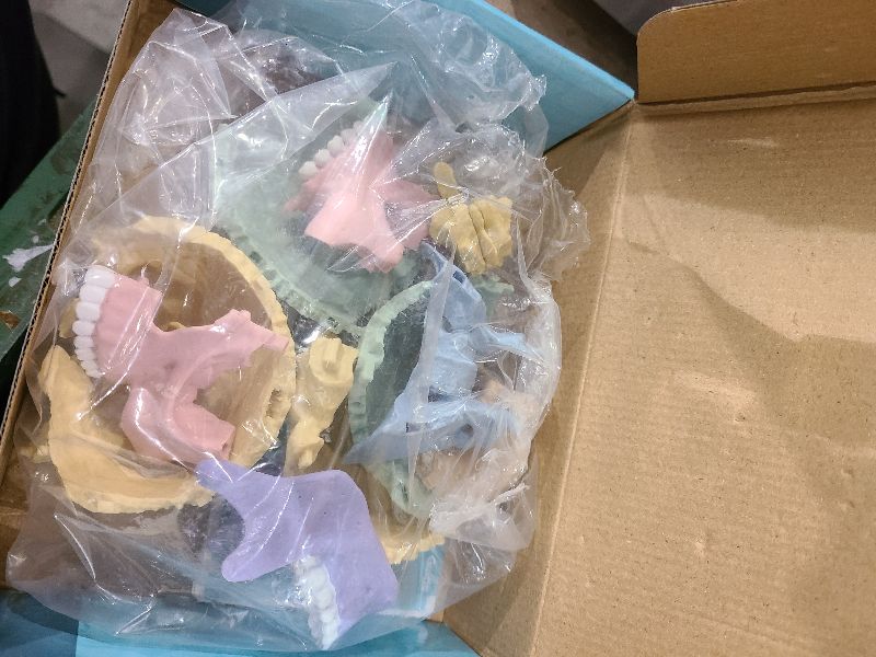 Photo 1 of 2025 New Human Anatomy Skull Model - 17 Part Puzzle with 10 Knowledge Flash Cards, Detachable Palm-Sized Mini Medical Model, Clinic Teaching Equipment, STEM Toy Gift for Kids