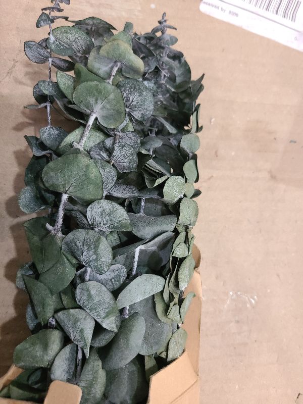 Photo 1 of 10 Pcs Dried Eucalyptus Stems 17" Real Eucalyptus for Shower Hanging 100% Made from Fresh Leaves, Wedding, Home, Farmhouse, DIY Spring Decor Bathroom Decor Home Decor