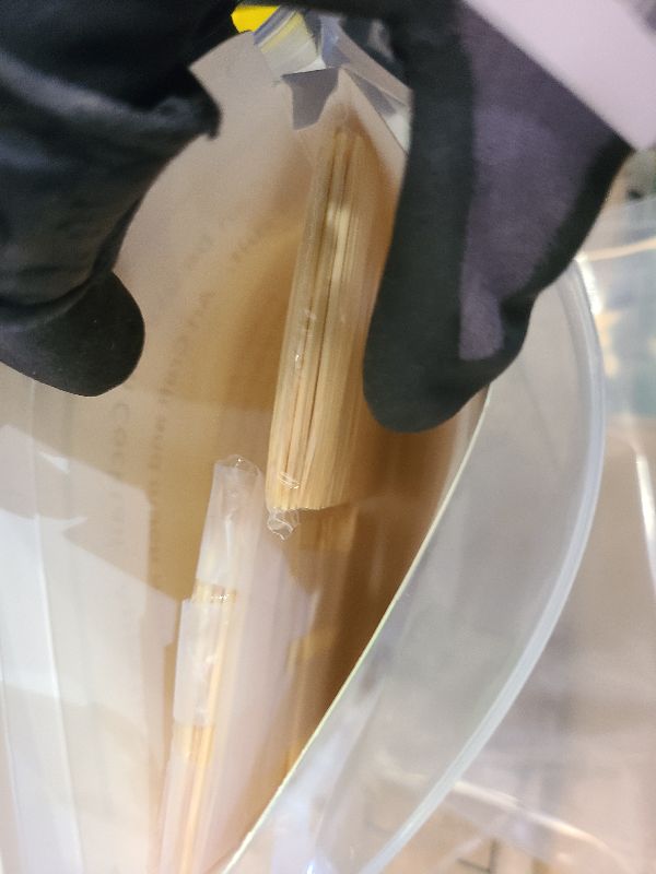 Photo 1 of 1200 Count Bamboo Toothpicks for Teeth Cleaning, Appetizer, Olive, Barbecue, Fruit, Double-Points Wooden Toothpick.