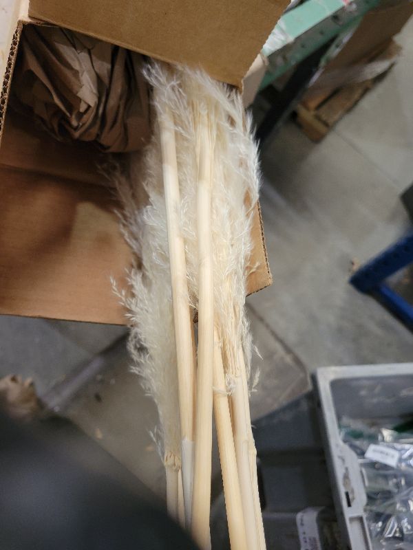 Photo 1 of 10 Stems 46" inch White Pampas Grass Decor Tall, Large Pompas Grass, Boho Neutral Home Decor Bouquet, Fluffy Pampass Grass for Floor Vase Wedding Floral Arrangements Wall Farmhouse Table Decor