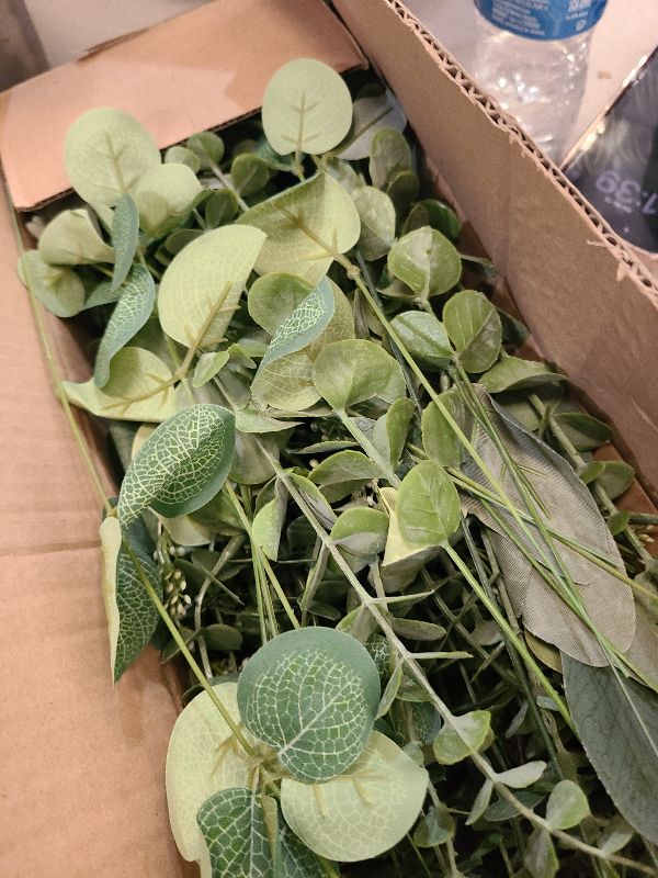 Photo 1 of 120 Pcs 5 Kinds Mixed Eucalyptus Leaves Stems Bulk, Artificial Eucalyptus Stems Fake Silver Dollar Leaves Picks Faux Plants Greenery for Wedding, Engagement, Home, DIY Bouquet Floral Arrangement