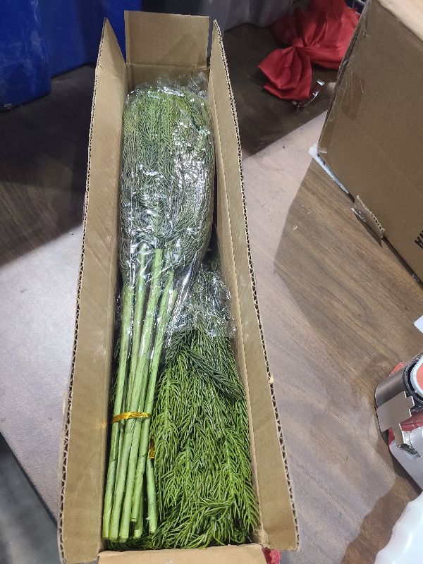 Photo 1 of 20 Pcs Christmas Norfolk Pine Branches -18" Real Touch Artificial Norfolk Pine Branch Faux Plants Stem Fake Greenery Pine Picks for Vase DIY Crafts Garland Wreath Home Indoor Outdoor Decoration