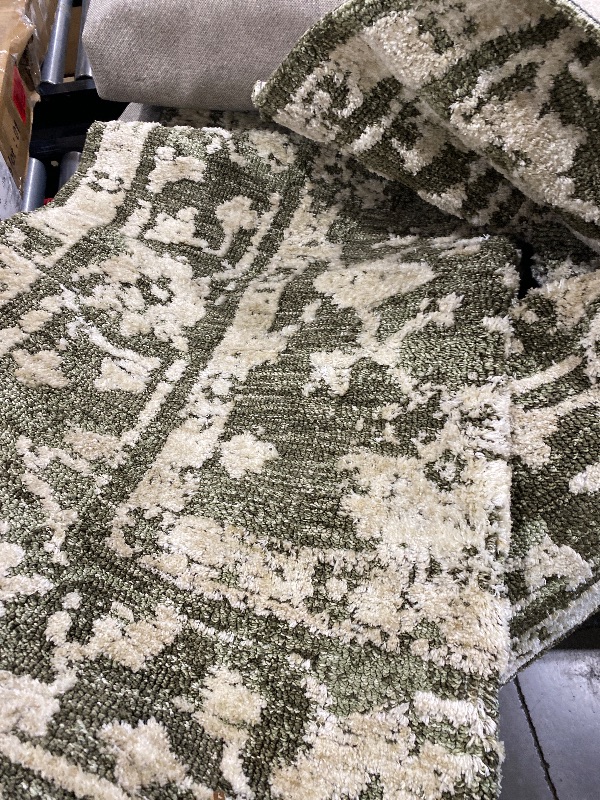 Photo 1 of large area rug unknown brand/size 