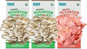 Photo 1 of Back to the Roots Organic Mushroom Grow Kit 3-Pack: Oyster, Oyster & Pink-Harvest Gourmet Mushroom in Just 10 Days
