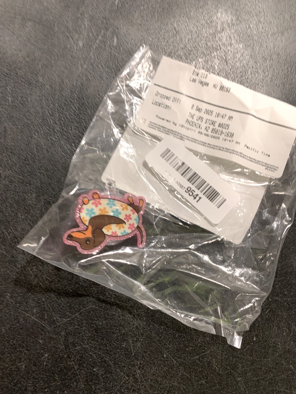 Photo 1 of Dachshund Summer Badge Reel Retractable Cute Dog with Pool Float ID Holder – Funny Vet Tech, Nurse, Teacher Gifts, Pet Lover Office Accessory
