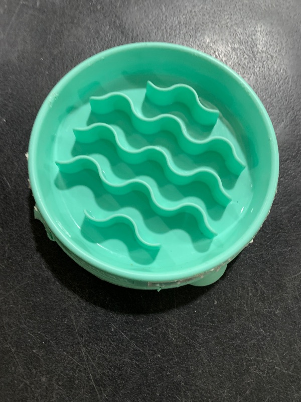 Photo 1 of Outward Hound Small Fun Feeder Slow Bowl, Puzzle for Fast Eaters, Puppies, Cats & Small Dogs, Wet or Dry Food, Helps Prevent Bloat & Aid Digestion, 3/4 Cup Capacity, Non-Slip, Made Without BPA, Mint