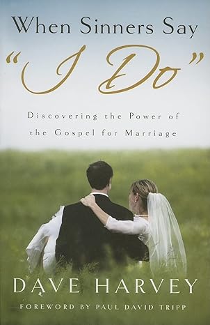 Photo 1 of When Sinners Say "i Do": Discovering the Power of the Gospel for Marriage