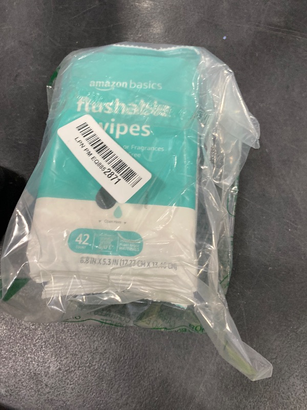 Photo 1 of Amazon Basics Flushable Adult Toilet Wipes, Fragrance Free, 42 Count (Pack of 8) (Total 336 wipes) (Previously Solimo)