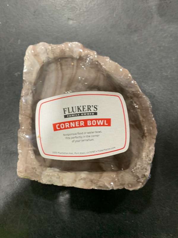 Photo 1 of Fluker's Food and Water Reptile Corner Bowl, Medium 6", colors may slightly vary