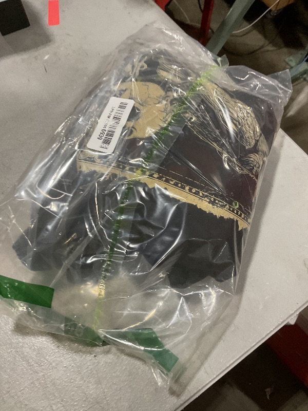 Photo 1 of Tarot Card Raven Pullover Hoodie