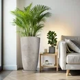 Photo 1 of ***2 PLANTERS BUT ONLY 1 SAUCER FOR UNDERNEATH***QCQHDU 21 inch Tall Planters with Saucer,2 Pack 9 Gallon Stone Round Pots for Indoor Plants,Outdoor Patio & Porch Decor, Heavy Duty Weatherproof Plant Containers,Gray