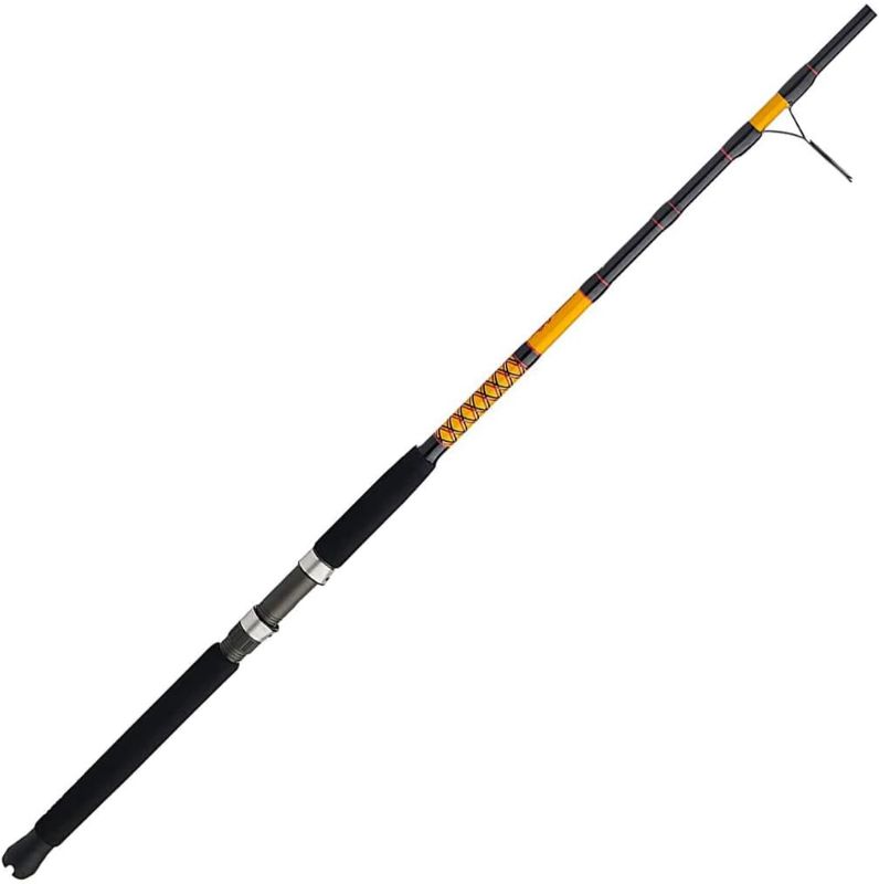 Photo 1 of 
Ugly Stik Bigwater Spinning Fishing Rod