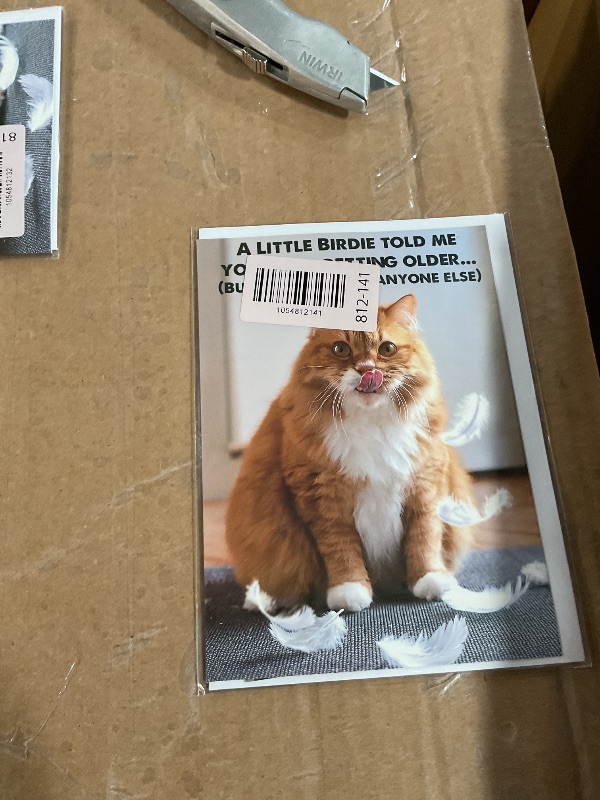 Photo 1 of CardFool Funny Cat Birthday Cardfor Women, Men, Coworkers, Friends & Family plus Free bonus Postcard included - a little birdie told us you're a year older