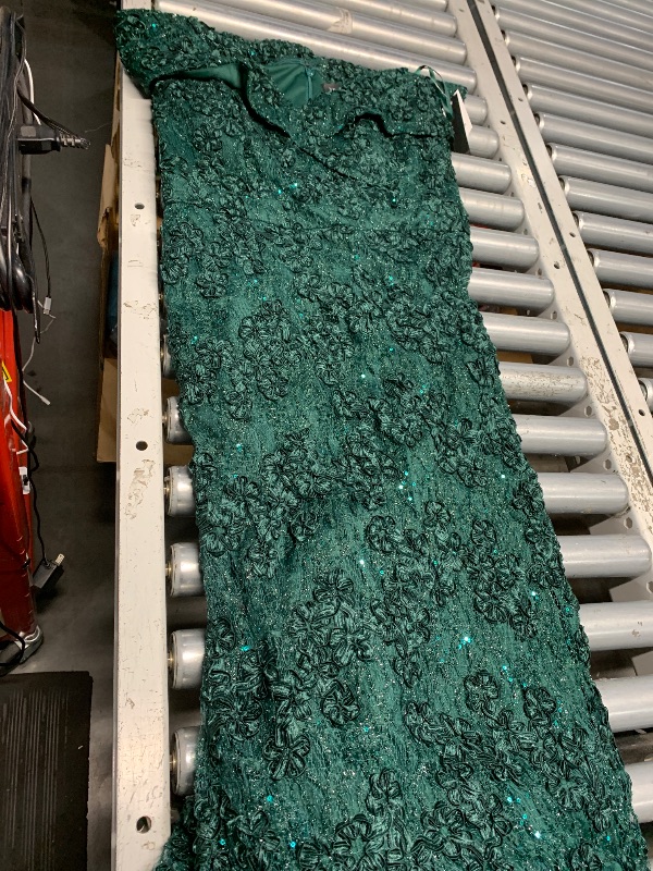 Photo 1 of XSCAPE Off-The-Shoulder Lace Gown SIZE 16