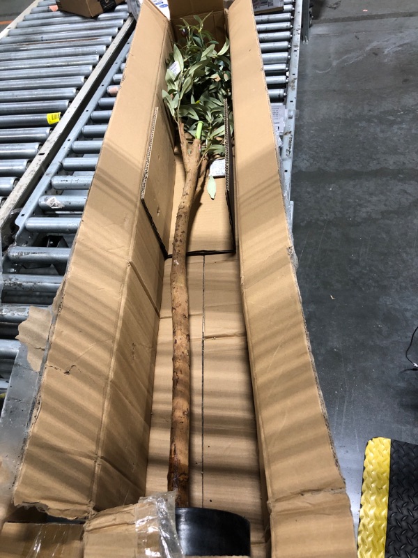 Photo 1 of ***just a branch and the stem*** OAKRED Artificial Olive Tree, 7FT Tall Fake Silk Plants with Natural Wood Trunk Faux Potted Tree for Home Decor Indoor Office Porch, Set of 1
