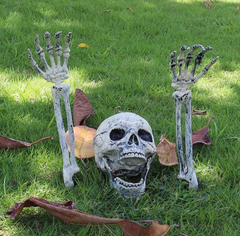 Photo 1 of ** SIMILAR IMAGE***AISENO Realistic Skeleton Stakes Halloween Decorations for Lawn Stakes Garden Halloween Skeleton Decoration