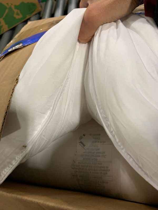 Photo 1 of ***2 PILLOW***Amazon Basics Down Alternative Pillow for Back Side Sleepers, Medium Density, Standard Size, 26" x 20", 2-Pack, White