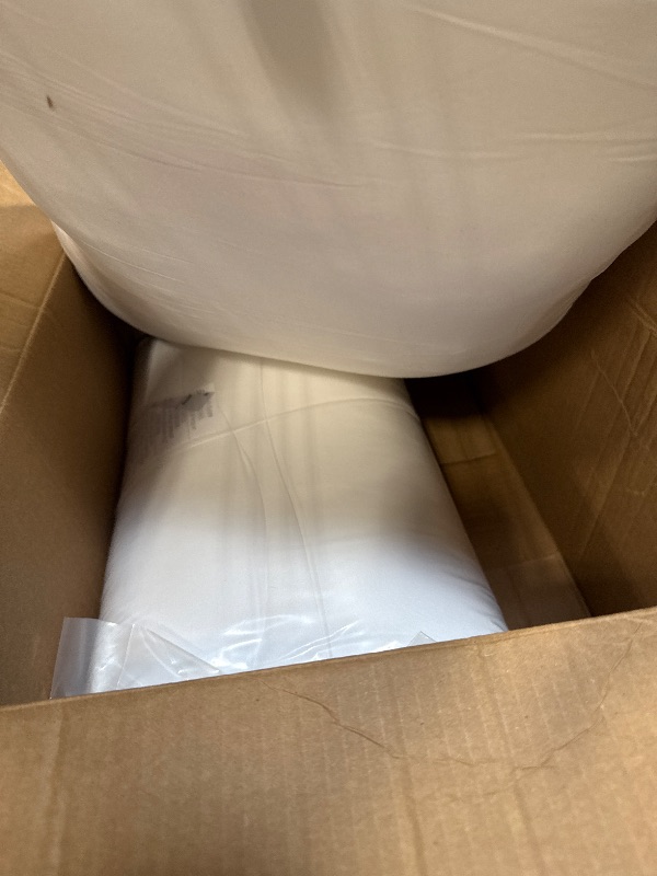 Photo 1 of ***2 PILLOW***Amazon Basics Down Alternative Pillow for Back Side Sleepers, Medium Density, Standard Size, 26" x 20", 2-Pack, White