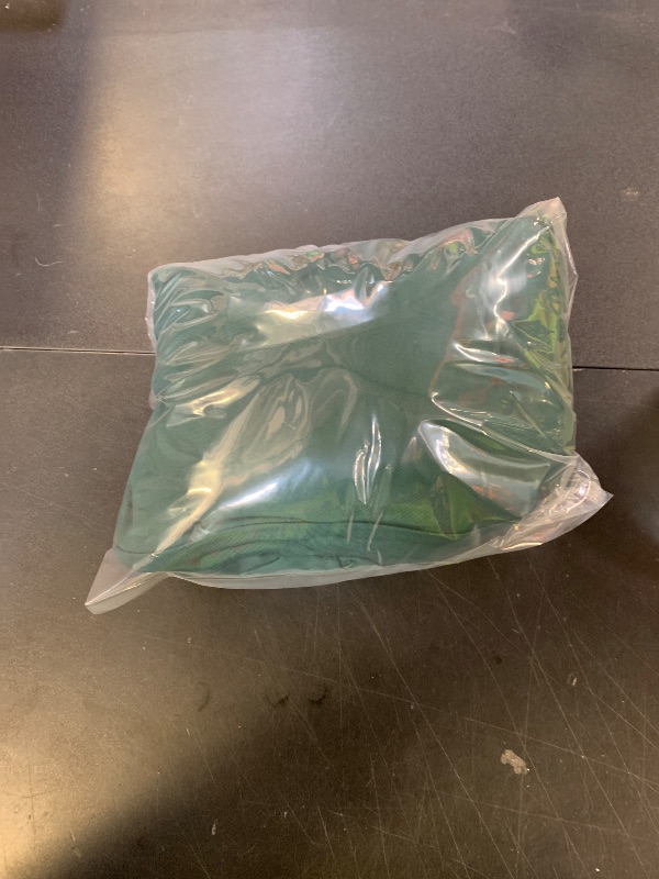 Photo 1 of *GREEN WOMENS DRESS SIZE XL*