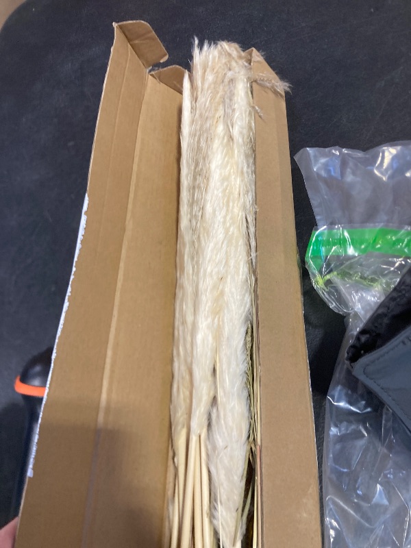 Photo 1 of 100Pcs Pampas Grass Boho Home Decor 17 inch Natural Dried Flowers-Pampas Grass Contains Bunny Tails White Pampas Brown Pampas.Boho Decor for Farmhouse Wedding Boho Wall Bathroom Office Kitchen…