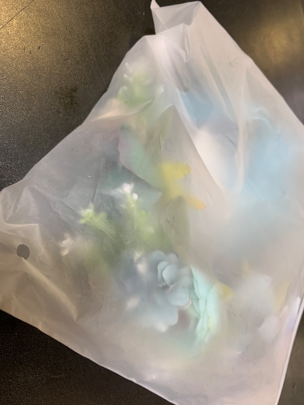 Photo 1 of   Rose Floral Crown  