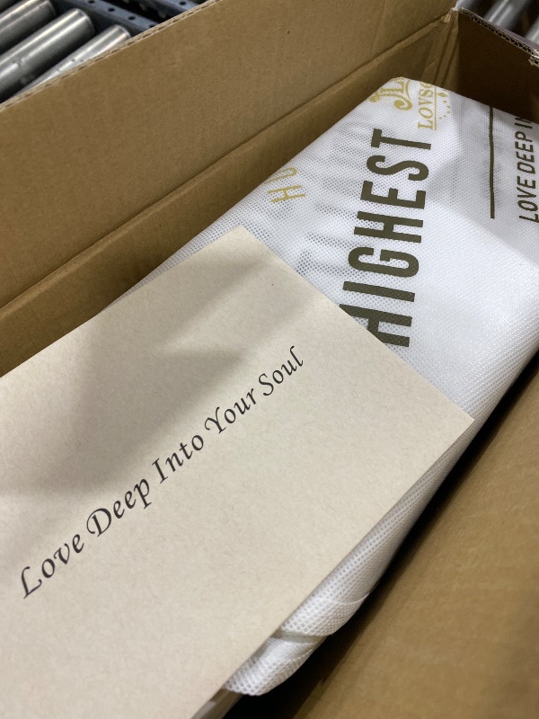 Photo 1 of L LOVSOUL Goose Down Fiber Comforter Oversize Queen Size, High Fill Power Hotel Style Bedding Comforter, Fluffy Ultra Soft All Season White Duvet Insert with 8 Corner Tabs