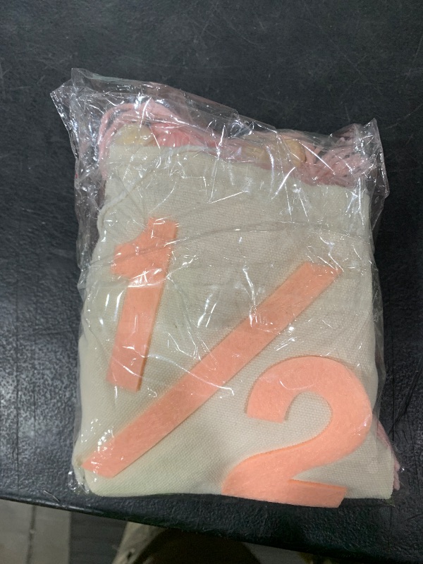 Photo 1 of 1/2 Birthday Girl Decorations Banner, Pink High Chair Garland for Halfway To One Baby Girl Half Birthday Banner Decor, Boho Tassel Wood Bead Garland for 6 Months Birthday Girl Party