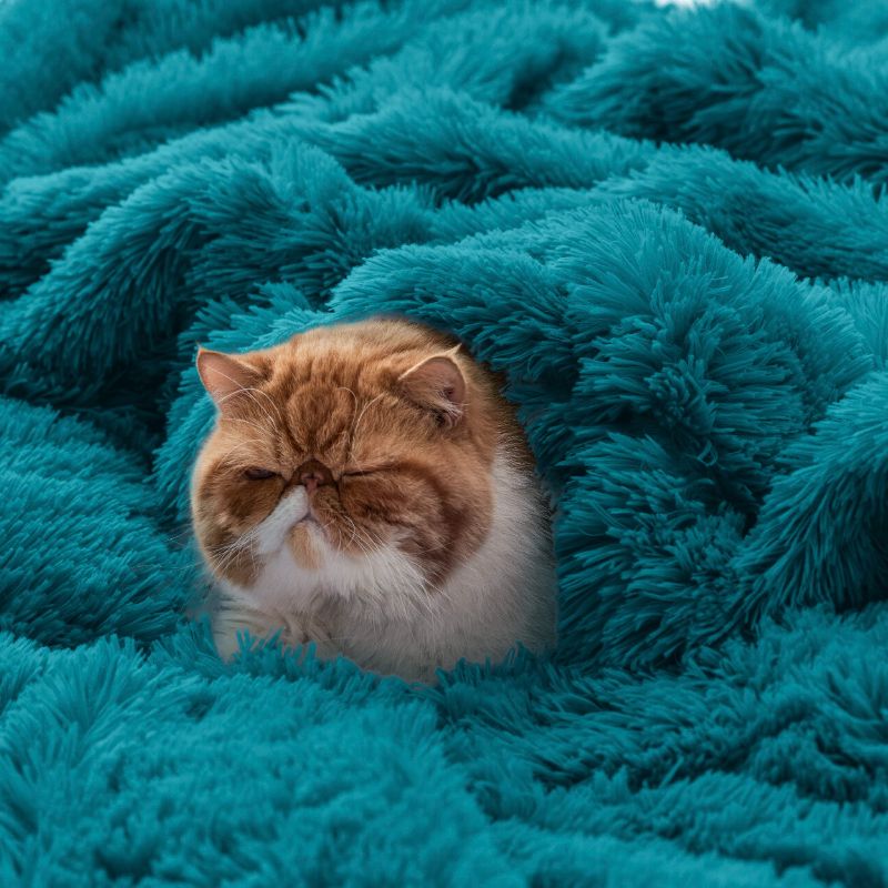 Photo 1 of  Bedsure GentleSoft Fluffy Turquoise Teal Throw Blanket